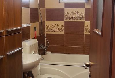 Apartament cu 2 camere semidecomandat în Banat - 2