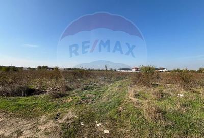 Teren agricol intravilan de 10167 mp, în Central - 6