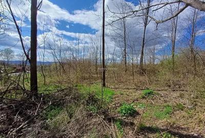 Resita, Teren Intravilan Langa Oras, 5265 Mp., 6,6 Euro Mp., Km. 7 - 5