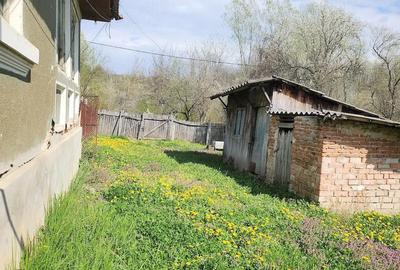 Casă cu Teren 1255 Mp în Săcelu - 9