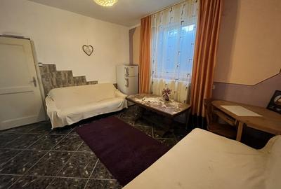 Apartament cu doua camere Calea Lipovei - 5