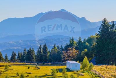 COMISION 0% Teren 19.300 mp/Sirnea/ Oportunitate de investitie - 7
