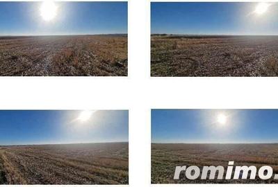 Teren Gradinari, cota 1/2. ID: R1983933 - 3