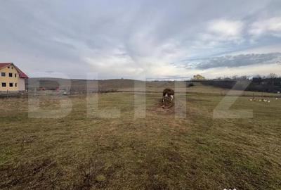 Teren de 2800 mp, în Central