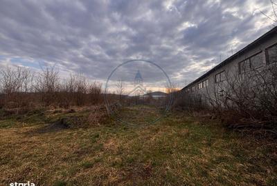 Spațiu comercial, în Șieu - 7