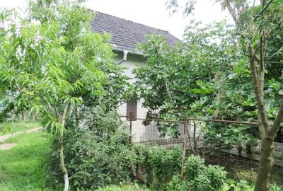 Vanzare 3 case moderne + 3 anexe si 2000 mp teren gradina, pomi in Tuzla la mare - 16