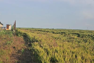 Teren intravilan Popesti | Proximitate A0 | Ideal dezvoltare imobiliara - 6