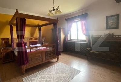 Conac de vanzare 7 camere, baie proprie, crama, ciubar si potential - 4
