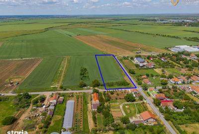 Teren de 6400 mp, în Ghioroc - 1