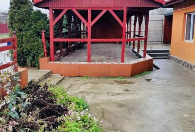 Casa de vinzare Zimbru Casa de vinzare Zimbru - 4