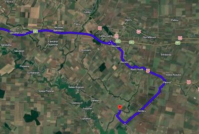 Teren agricol extravilan de 2000 mp, în Frăsinet - 6