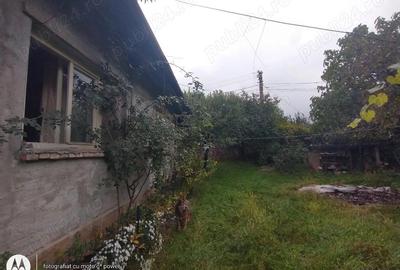 Baia Mare, casa solida in stare buna,cu 11 ari teren - 9