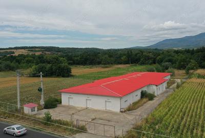 Spațiu comercial, de 1,241 mp, în Dezna - 7