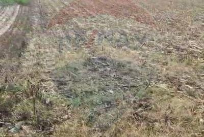 Teren 2,900mp Tantava / Strada Tufan - 2