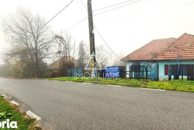 Casă cu 4 camere cu Teren 716 Mp în Baia de Fier - 5