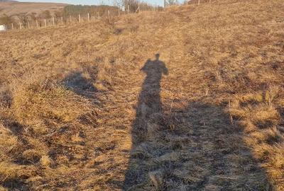 Teren agricol extravilan de 2180 mp, în Gârbău - 2