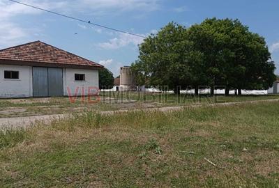 Teren de 301252 mp, în Biled - 9