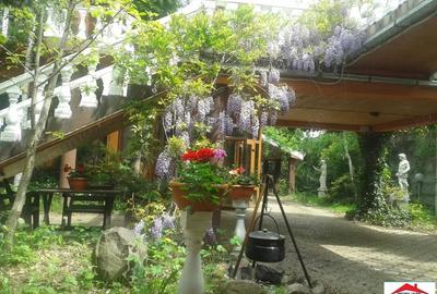 Casă cu 2 camere în Titulescu - 19