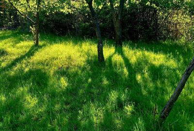 Spațiu comercial, în Central - 3