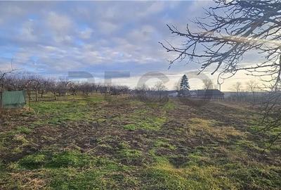 Teren de 2117 mp, în Cetariu - 7