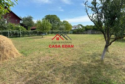 Casă cu Teren 920 Mp în Câmpina - 4