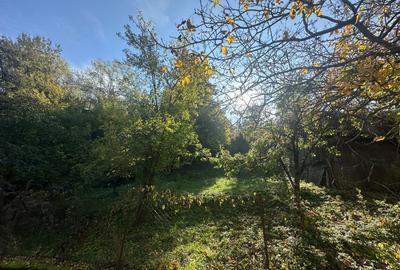 Teren Construcții intravilan de 5653 mp, în Cugir - 1