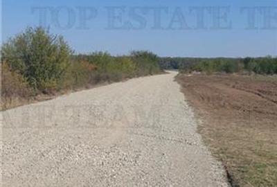 Teren Construcții intravilan de 14394 mp, în Butimanu - 3