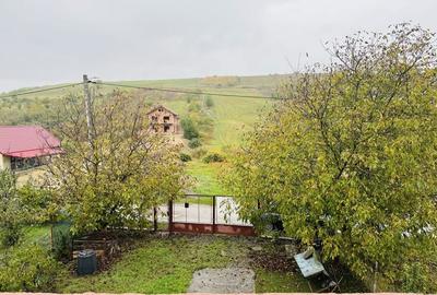 Casă cu 2 camere în Dezmir - 4