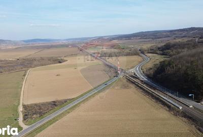 Teren de 19319 mp, în Laslea - 15