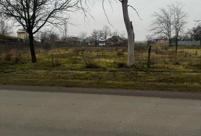 Spațiu comercial, în Alexandriei - 1