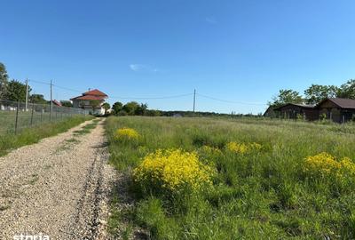 Teren de 979 mp, în Ciolpani