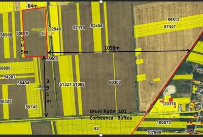 Teren Construcții intravilan de 15900 mp, în Tamași - 3