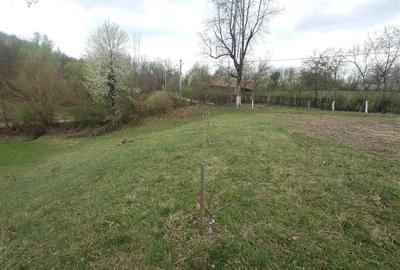 Teren intravilan de 9370 mp, în Țebea - 3