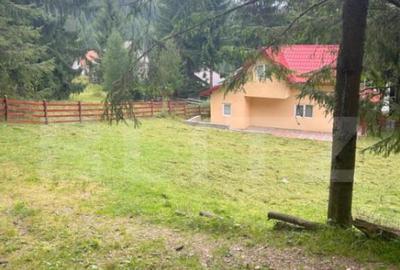 EXCLUSIV BLITZ ! Cabana in statiunea Muntele Baisorii - 3