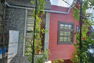 Casă cu 4 camere cu Teren 1300 Mp în Dițești - 5