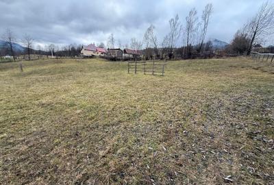 Teren de 4872 mp, în Lunca - 1