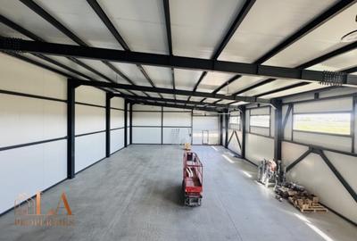 Spațiu industrial, de 425 mp, în Domnești - 9