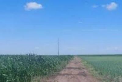 2,5 hectare in comuna Izvoru din judetul Arges