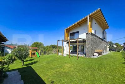 Vila spectaculoasa de vanzare in Faget - 1