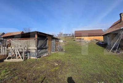 Casă cu 2 camere cu Teren 3800 Mp în Central - 3