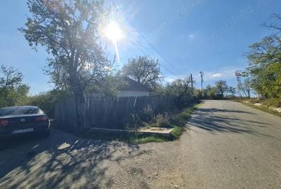 Casa si pamant agricol de vanzare - 4