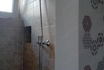 Apartament cu 2 camere decomandat în Amara - 1