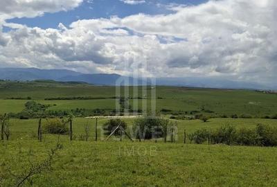 De vanzare, teren 11.500 mp – Dealul Dăii,  Vedere panoramică spre munți și lac - 7