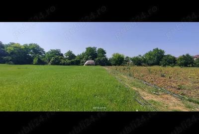 Teren de 2800 mp, în Lovrin - 15