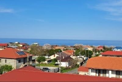 Vila Vama Veche 22 camere - 3