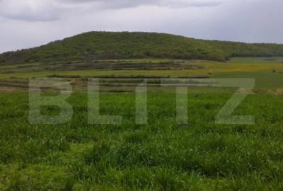 Teren de 3621 mp, în Petrești - 4