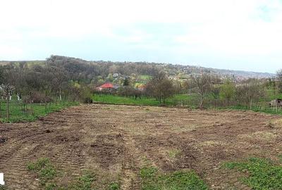 Teren de 1587 mp, în Rădășeni - 2
