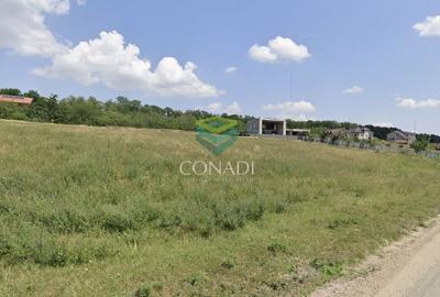 Teren 800mp Vadu Anei | Branesti | Langa Lac si Padure | Rezidential - 4