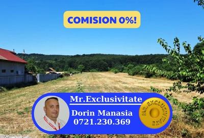 TEREN INTRAVILAN ȘI EXTRAVILAN TURCINEȘTI - 1