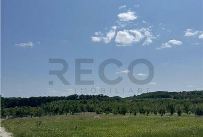 Teren de 685 mp, în Paleu - 4